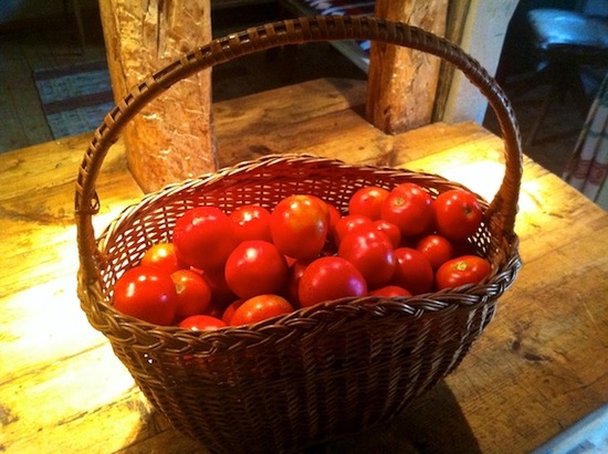 Tomat 3.jpg